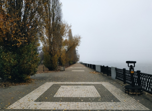 Стало известно, когда туман покинет Воронеж Стало известно, когда туман покинет Воронеж