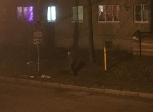 Воронежцев вдохновил дедушка, делающий дорожку для пешеходов Воронежцев вдохновил дедушка, делающий дорожку для пешеходов