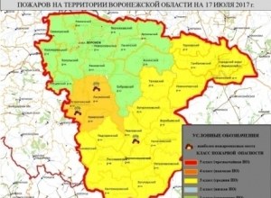 Воронежские спасатели предупредили о высокой степени пожарной опасности Воронежские спасатели предупредили о высокой степени пожарной опасности