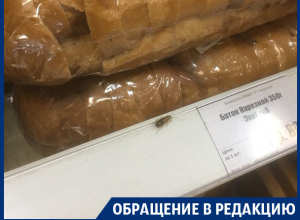 Воронежцы пожаловались на тараканов и просрочку в «Центрторге» Воронежцы пожаловались на тараканов и просрочку в «Центрторге»