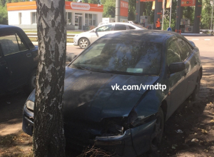 Жительница Воронежа запечатлела авто, спешащее припарковаться в дерево Жительница Воронежа запечатлела авто, спешащее припарковаться в дерево