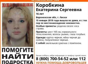 В Воронежской области 16-летняя девушка загадочно исчезла, выйдя из дома В Воронежской области 16-летняя девушка загадочно исчезла, выйдя из дома
