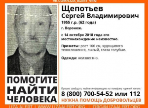 В Воронеже ищут 62-летнего лысого мужчину В Воронеже ищут 62-летнего лысого мужчину