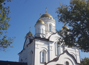 Священнослужитель задержал грабителя храма в центре Воронежа Священнослужитель задержал грабителя храма в центре Воронежа