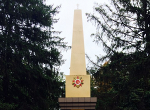 Воронежского краеведа удивил памятник Великой Отечественной войны в Боброве Воронежского краеведа удивил памятник Великой Отечественной войны в Боброве