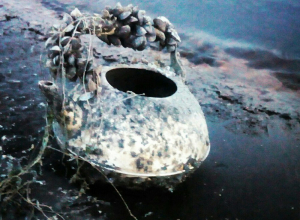 Из Воронежского водохранилища на берег выбросило чайник из «Пиратов Карибского моря» Из Воронежского водохранилища на берег выбросило чайник из «Пиратов Карибского моря»
