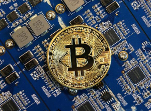 Мечта воронежца стать королем биткоинов превратилась в порошок Мечта воронежца стать королем биткоинов превратилась в порошок
