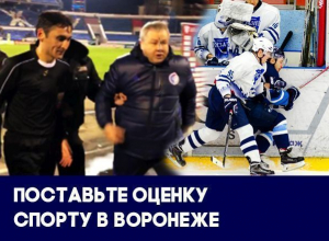 Воронежские площадки оказались в ужасном состоянии, а власти бросили массовый спорт: итоги 2017 года Воронежские площадки оказались в ужасном состоянии, а власти бросили массовый спорт: итоги 2017 года