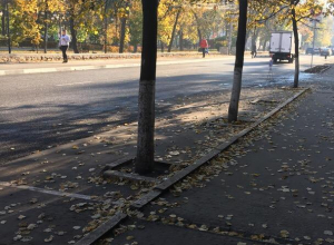 Воронежцы массово игнорируют платные парковки в центре города Воронежцы массово игнорируют платные парковки в центре города