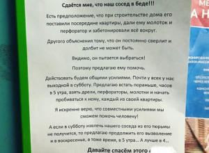 Оригинальный способ борьбы с надоевшим соседом предложили в Воронеже Оригинальный способ борьбы с надоевшим соседом предложили в Воронеже