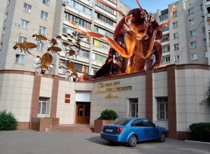 Из-за равнодушия коммунальщиков воронежская многоэтажка превратилась в тараканье логово Из-за равнодушия коммунальщиков воронежская многоэтажка превратилась в тараканье логово