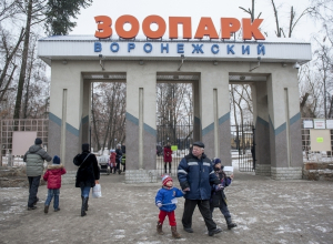 В Воронежском зоопарке енот, кролик и еж предскажут весну В Воронежском зоопарке енот, кролик и еж предскажут весну