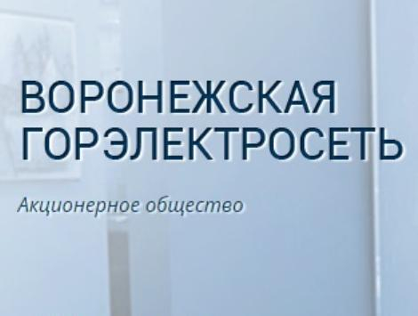 Депутаты пустили с молотка Воронежскую горэлектросеть Депутаты пустили с молотка Воронежскую горэлектросеть