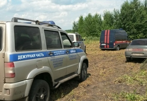 Волонтеры выстроились в живую цепь для поиска 3-летнего Артема Кузнецова