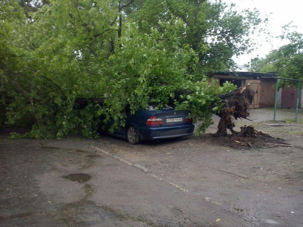 В Воронеже упавшее дерево раздавило крышу автомобилю «BMW» В Воронеже упавшее дерево раздавило крышу автомобилю «BMW»