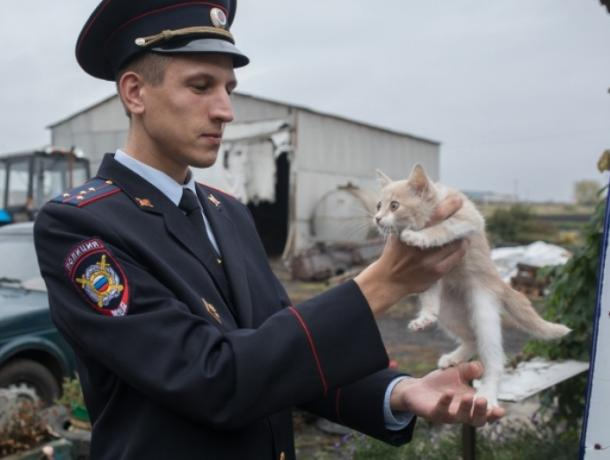 Воронежский депутат отделался условным сроком за избиение «Народного участкового» Воронежский депутат отделался условным сроком за избиение «Народного участкового»