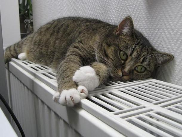 Стало известно, когда в Воронеже включат отопление Стало известно, когда в Воронеже включат отопление
