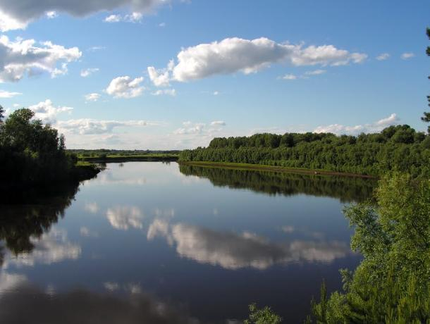 Тело утонувшего на глазах друзей воронежца достали из реки Тело утонувшего на глазах друзей воронежца достали из реки