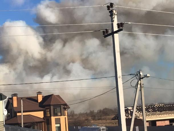 Под Воронежем полыхает 800 кв метров сухой травы Под Воронежем полыхает 800 кв метров сухой травы