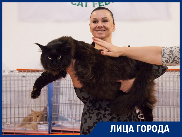 Секреты элитных кошек рассказала знаменитая воронежская заводчица Секреты элитных кошек рассказала знаменитая воронежская заводчица