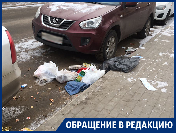 Любимое место молодоженов в Воронеже превращают в помойку Любимое место молодоженов в Воронеже превращают в помойку