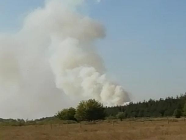 Масштабный пожар возле воронежского детского лагеря сняли на видео Масштабный пожар возле воронежского детского лагеря сняли на видео