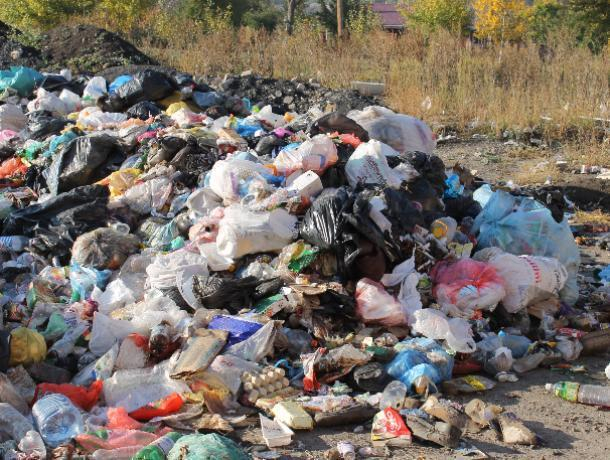 Огромная зловонная свалка развернулась в центре поселка под Воронежем Огромная зловонная свалка развернулась в центре поселка под Воронежем