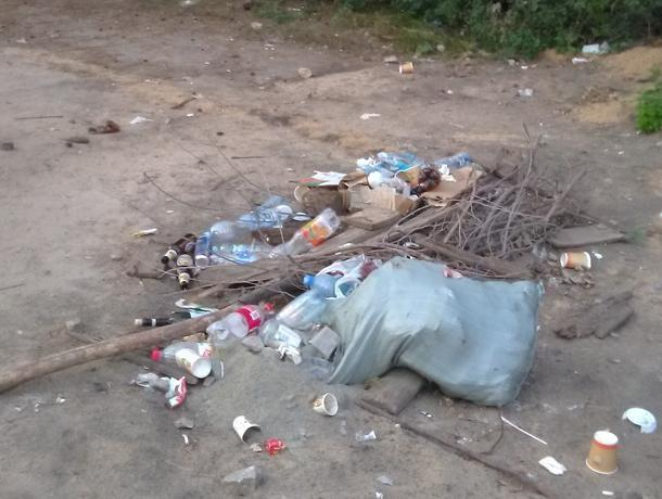 В лесу обнаружили последствия грязного отдыха воронежцев В лесу обнаружили последствия грязного отдыха воронежцев