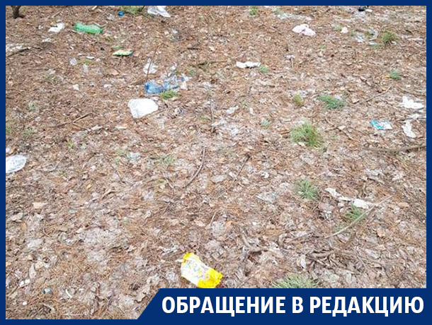 Северный лес в Воронеже превратили в свалку Северный лес в Воронеже превратили в свалку