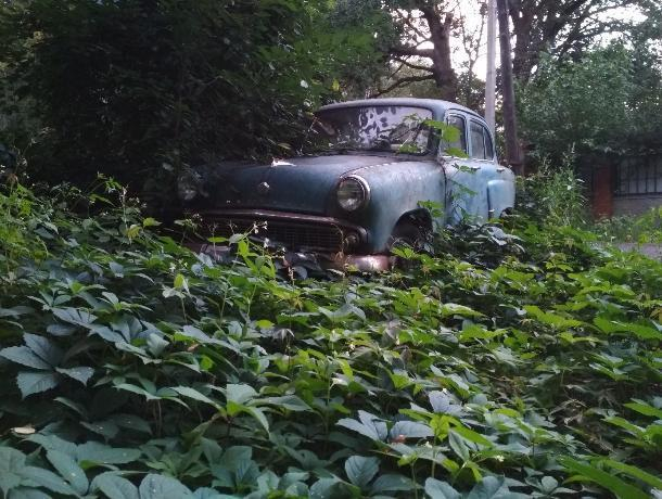Единение автохлама с природой показали на фото в Воронеже Единение автохлама с природой показали на фото в Воронеже