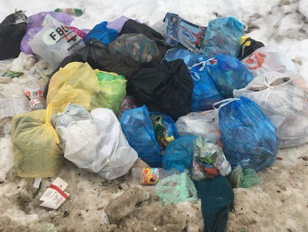 Жители частных домов выстроили мусорную гору у воронежского ЖК Жители частных домов выстроили мусорную гору у воронежского ЖК