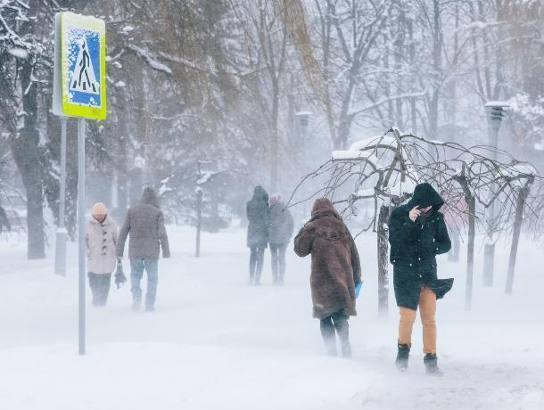 Арктическое вторжение ожидает воронежцев Арктическое вторжение ожидает воронежцев