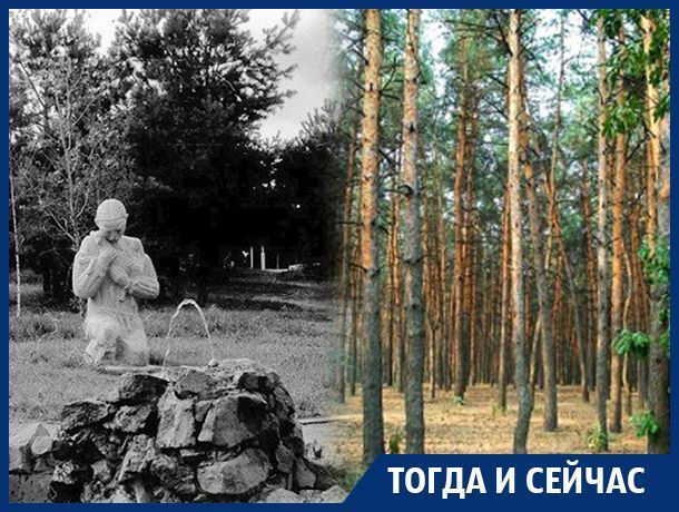 Юго-Западный микрорайон Воронежа – от деградации 90-х до железной дисциплины Аристова Юго-Западный микрорайон Воронежа – от деградации 90-х до железной дисциплины Аристова