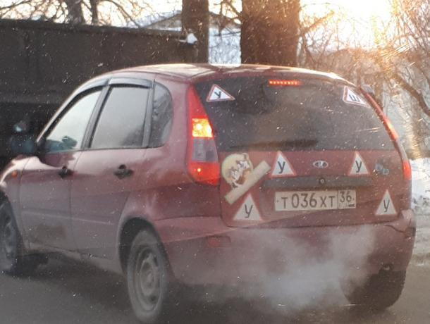 В Воронеже высмеяли вечного ученика на «Ладе» с кучей наклеек В Воронеже высмеяли вечного ученика на «Ладе» с кучей наклеек