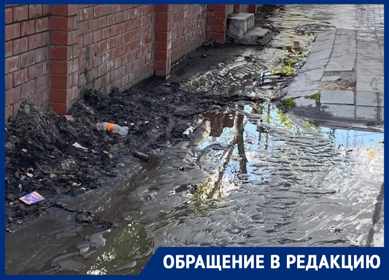 «Стыдно за наш город»: воронежец пожаловался на грязь у автовокзала «Стыдно за наш город»: воронежец пожаловался на грязь у автовокзала
