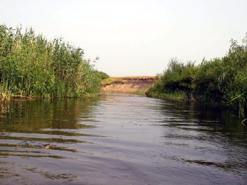 Труп мужчины подняли водолазы со дна реки в Воронежской области Труп мужчины подняли водолазы со дна реки в Воронежской области