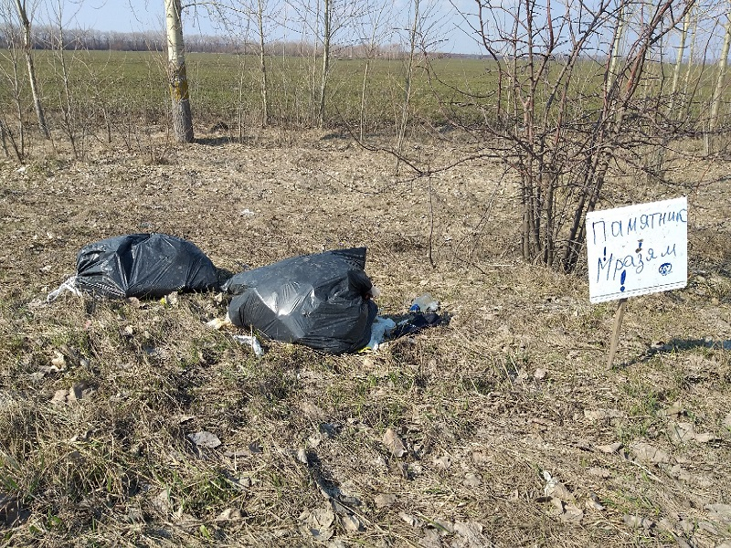 Оскорбительным памятником ответили воронежцы любителям помусорить Оскорбительным памятником ответили воронежцы любителям помусорить