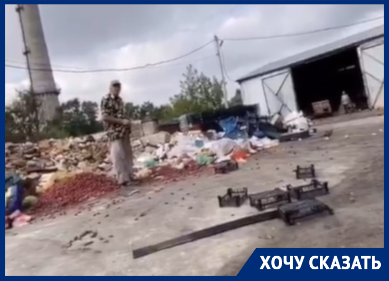 Неприглядную сторону продуктового рынка сняли в Воронеже Неприглядную сторону продуктового рынка сняли в Воронеже