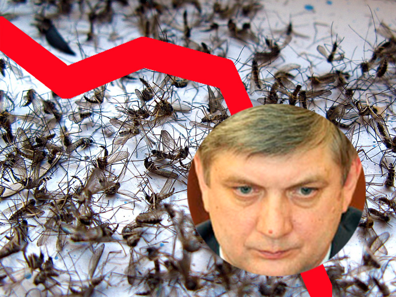 Воронежское правительство ответило за падение рейтинга Гусева, высосанного комарами Воронежское правительство ответило за падение рейтинга Гусева, высосанного комарами