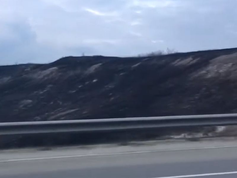 Мощный весенний пожар превратил в пепел поле под Воронежем Мощный весенний пожар превратил в пепел поле под Воронежем