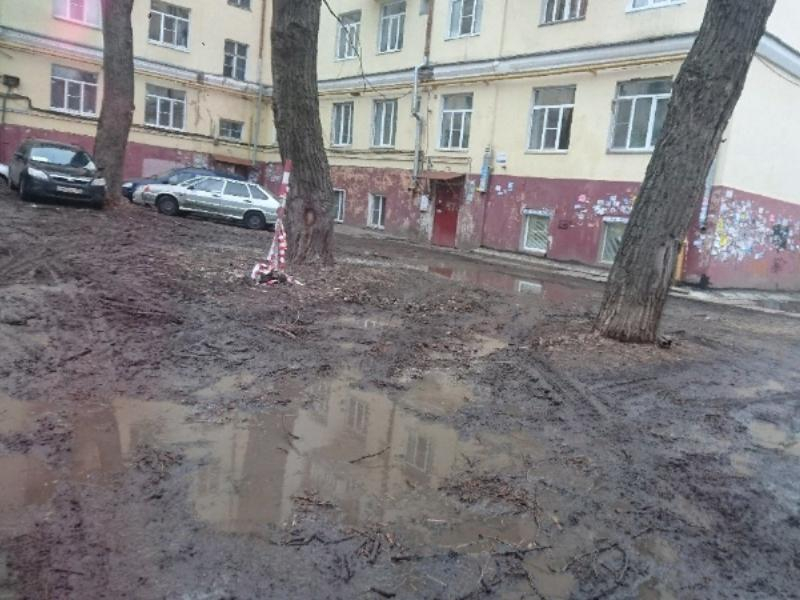 Уродливые последствия аномальной зимы показали в Воронеже Уродливые последствия аномальной зимы показали в Воронеже