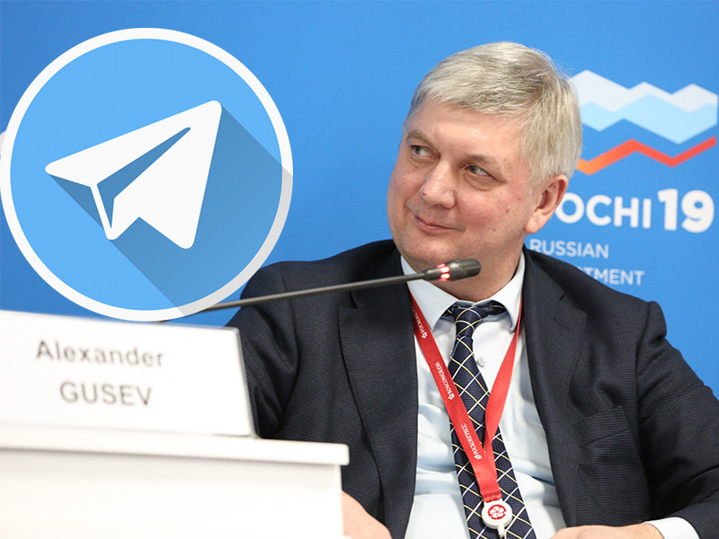 Александра Гусева как «хромую утку» гонит телеграмная рать Александра Гусева как «хромую утку» гонит телеграмная рать
