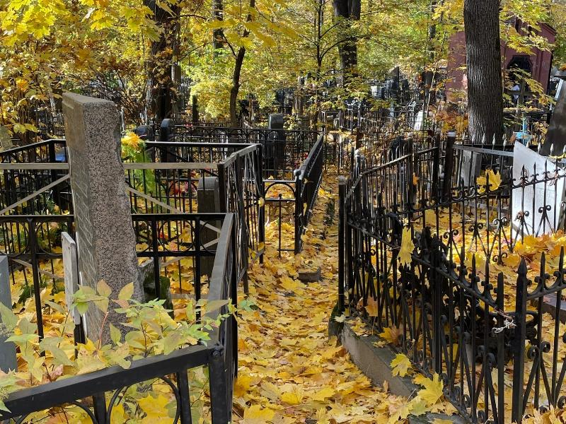 «Альтернативы нет»: мэрия ответила недовольным строительством нового кладбища в Воронеже «Альтернативы нет»: мэрия ответила недовольным строительством нового кладбища в Воронеже
