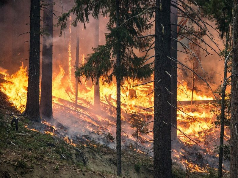 Высший класс пожароопасности объявили спасатели в Воронежской области Высший класс пожароопасности объявили спасатели в Воронежской области