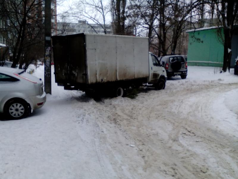 Грубое использование елки показали во дворе Воронежа Грубое использование елки показали во дворе Воронежа