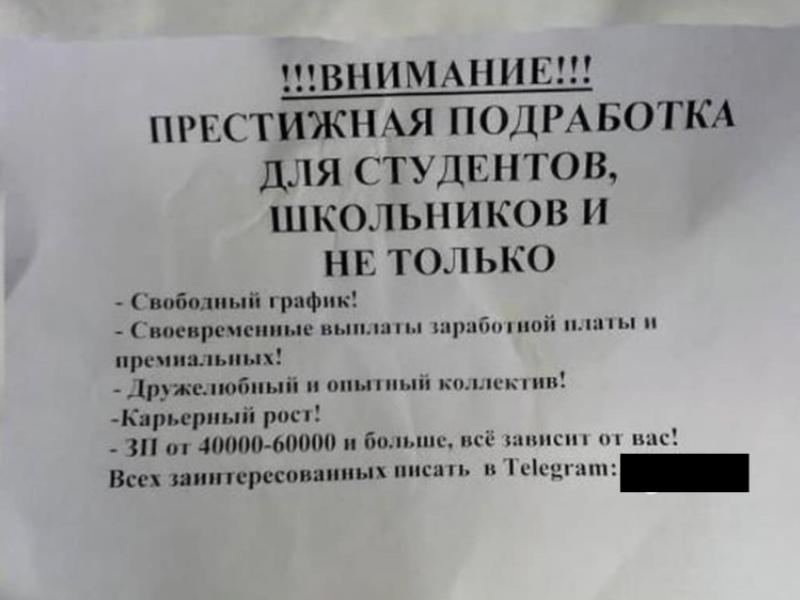 Прибыльной «работой мечты» заманивают школьников в Воронеже Прибыльной «работой мечты» заманивают школьников в Воронеже