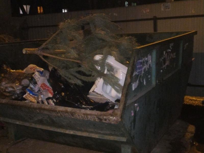 Мартовский труп новогоднего настроения показали в Воронеже Мартовский труп новогоднего настроения показали в Воронеже