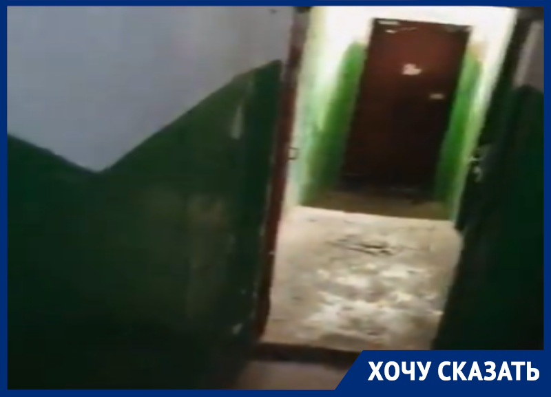 Позор в центре Воронежа, который годами скрывают за красивым фасадом Позор в центре Воронежа, который годами скрывают за красивым фасадом