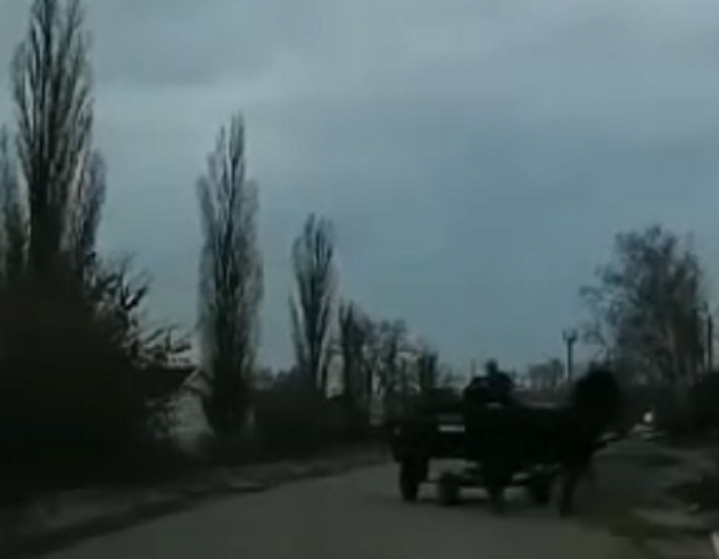 Забытый вид транспорта устроил переполох на дороге в Воронеже Забытый вид транспорта устроил переполох на дороге в Воронеже