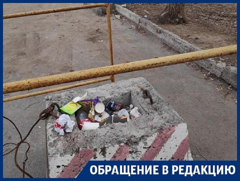 Символ Воронежа люди превратили в помойку Символ Воронежа люди превратили в помойку